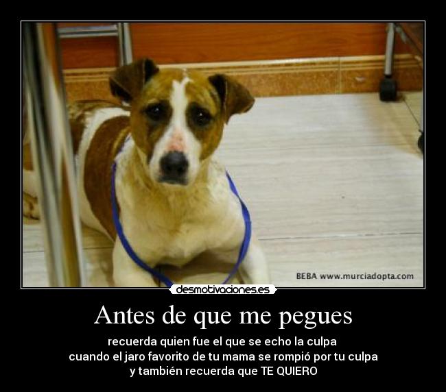 Antes de que me pegues - recuerda quien fue el que se echo la culpa
cuando el jaro favorito de tu mama se rompió por tu culpa
y también recuerda que TE QUIERO