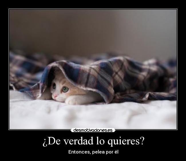 ¿De verdad lo quieres? - Entonces, pelea por él