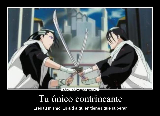 carteles byakuya bleach anime desmotivaciones