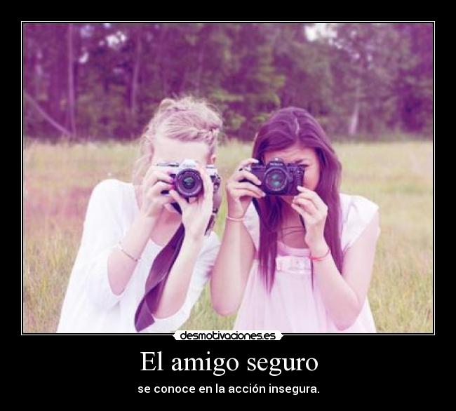 El amigo seguro -