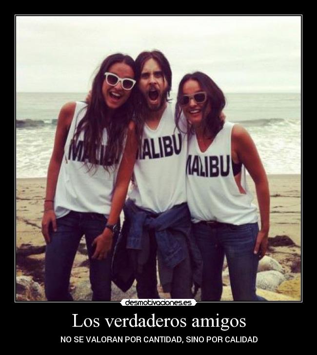 Los verdaderos amigos - NO SE VALORAN POR CANTIDAD, SINO POR CALIDAD