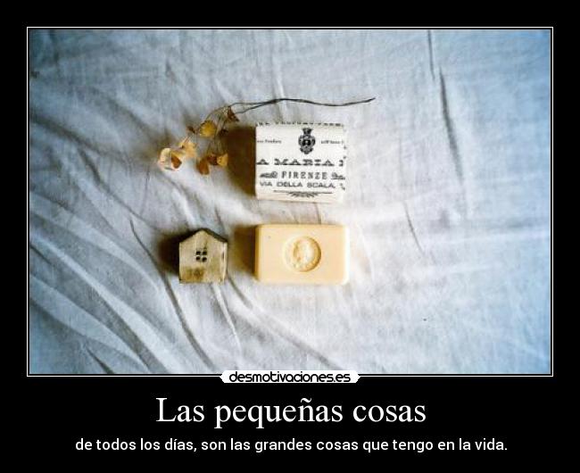 Las pequeñas cosas - de todos los días, son las grandes cosas que tengo en la vida.