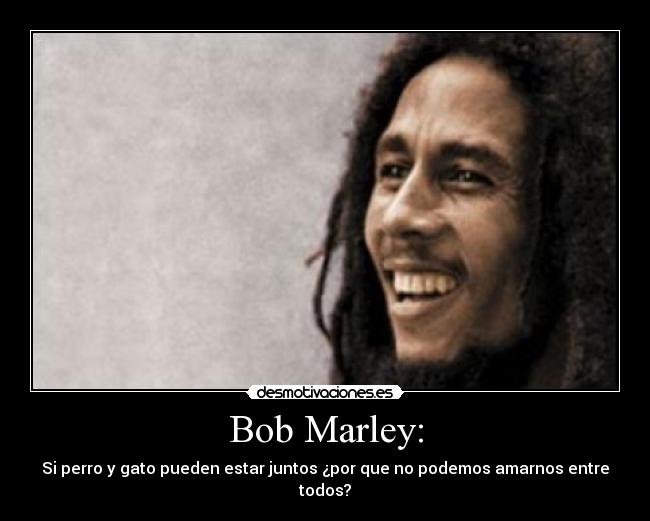 Bob Marley: - Si perro y gato pueden estar juntos ¿por que no podemos amarnos entre todos?