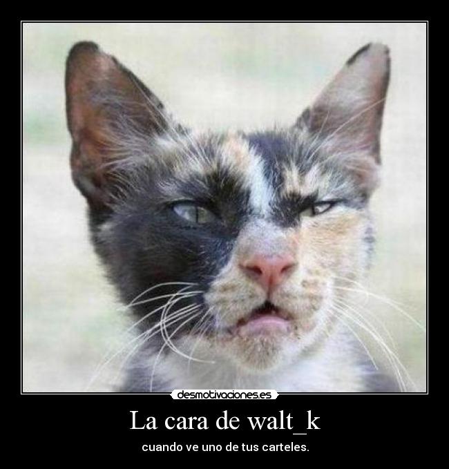 La cara de walt_k -