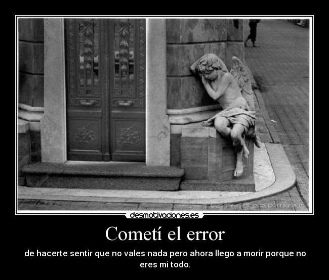 Cometí el error -