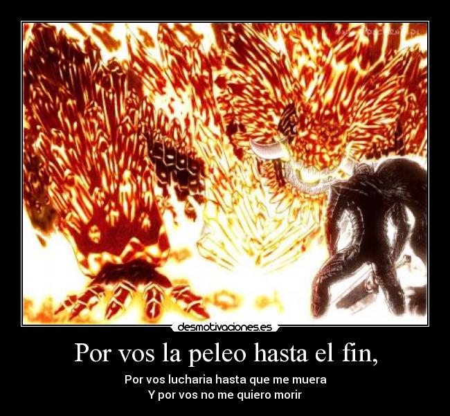 Por vos la peleo hasta el fin, - Por vos lucharia hasta que me muera
Y por vos no me quiero morir