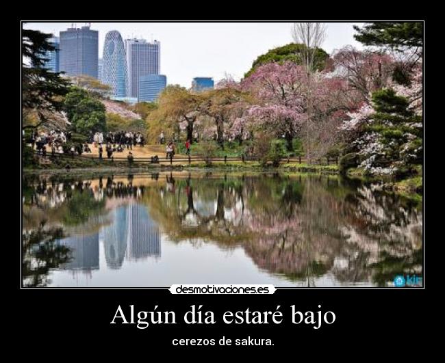 Algún día estaré bajo - 