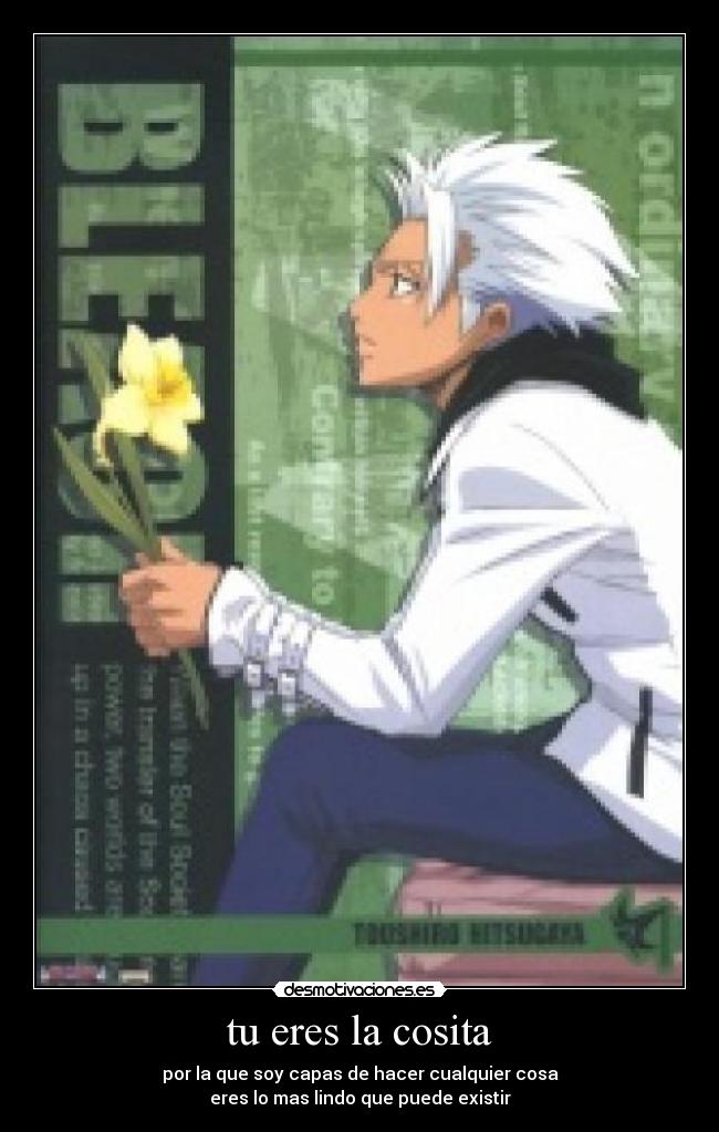 carteles samuels9saytori bleach toushiro anime amo cosita linda desmotivaciones