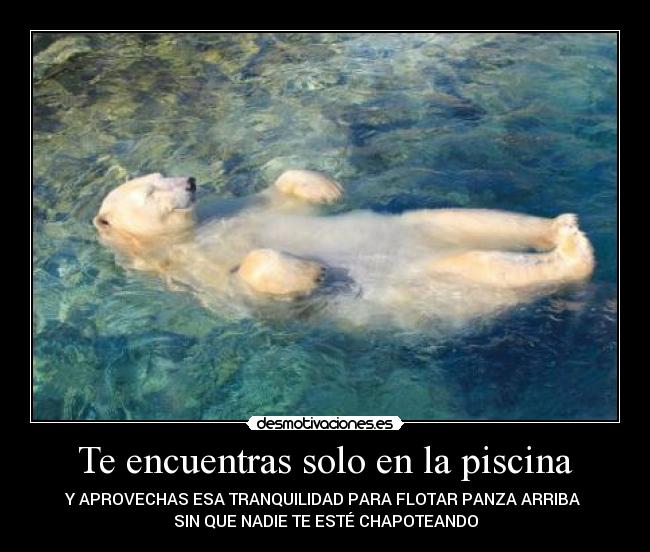 Te encuentras solo en la piscina -
