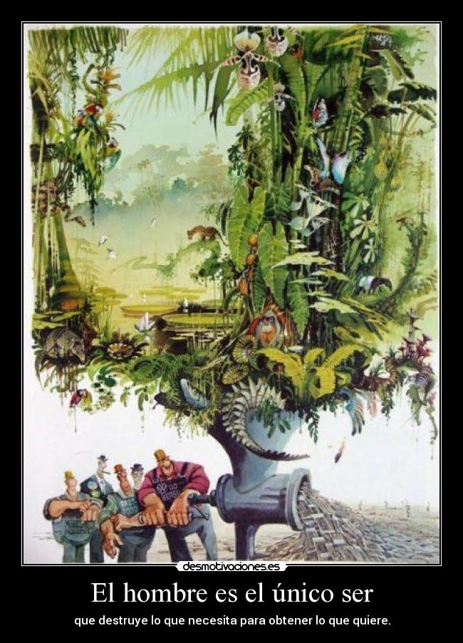 El hombre es el único ser -