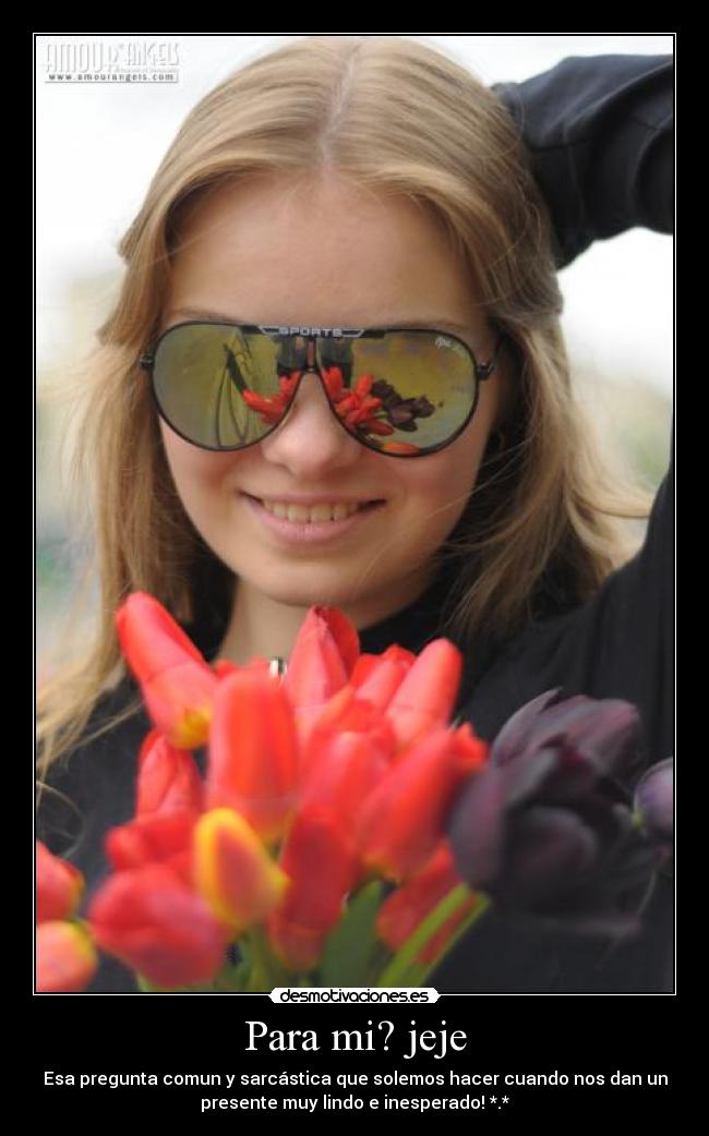 carteles detalle desmotivaciones