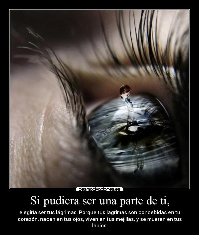 Si pudiera ser una parte de ti, -