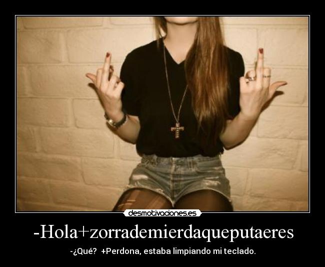 carteles zorra puta fuck you hola adios perdona limpiar teclado excusa odio desmotivaciones