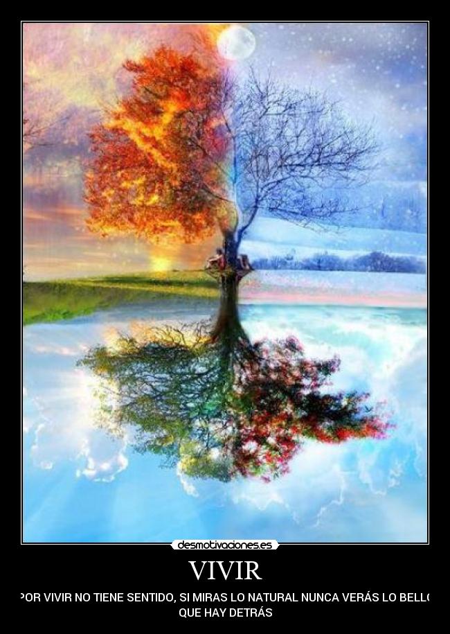 carteles luchys desmotivaciones