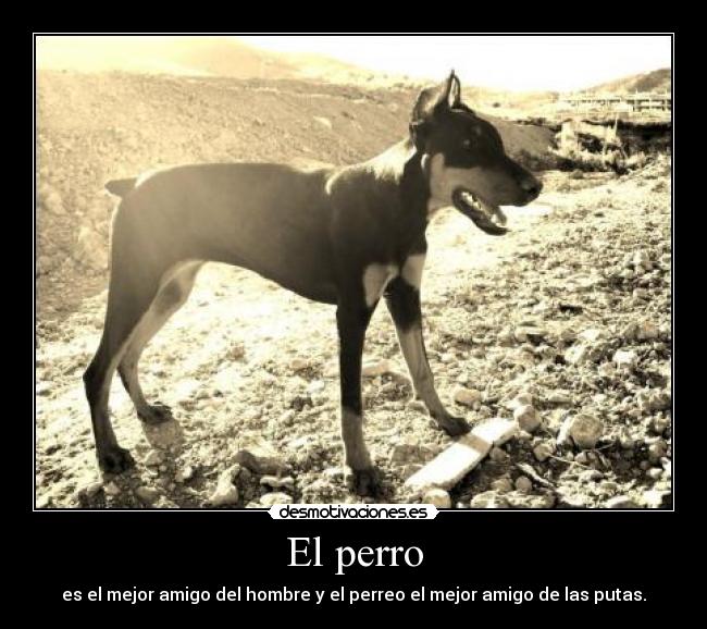 El perro -