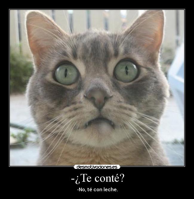-¿Te conté? - -No, té con leche.