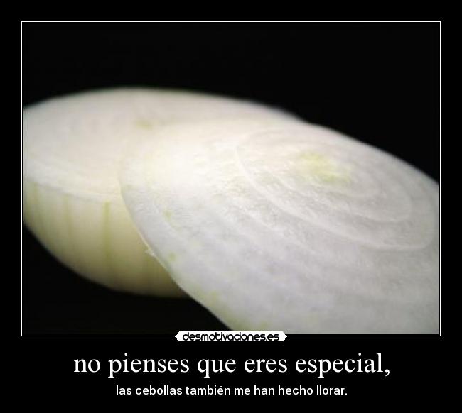 no pienses que eres especial, - las cebollas también me han hecho llorar.