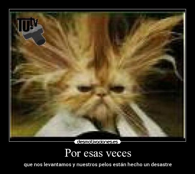 Por esas veces - que nos levantamos y nuestros pelos están hecho un desastre