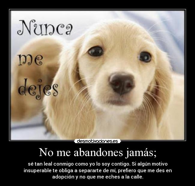 No me abandones jamás; - 