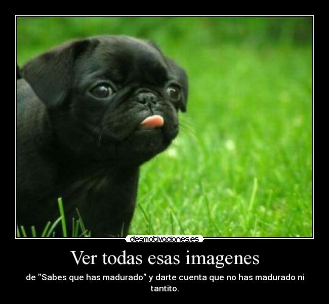 Ver todas esas imagenes - 