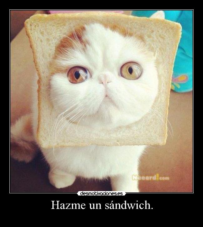 Hazme un sándwich. -