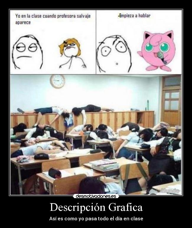 Descripción Grafica -