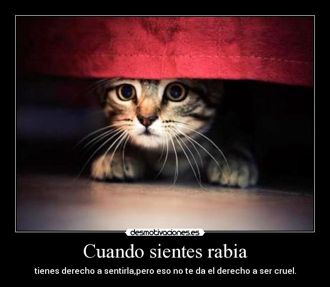 Cuando sientes rabia -