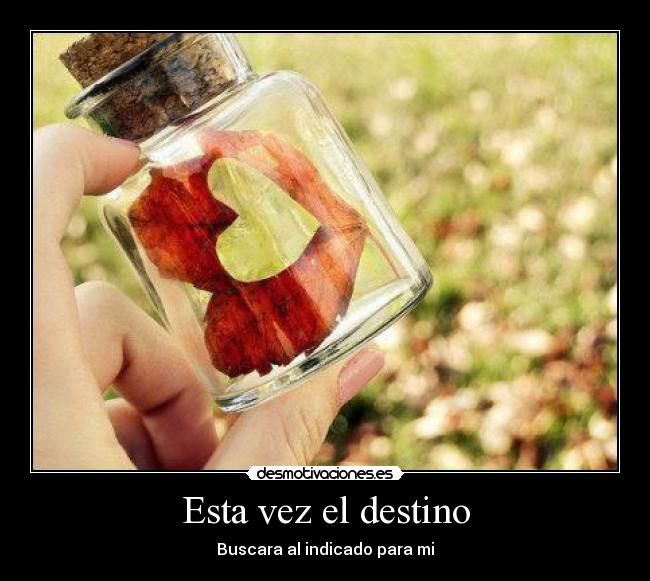 Esta vez el destino -