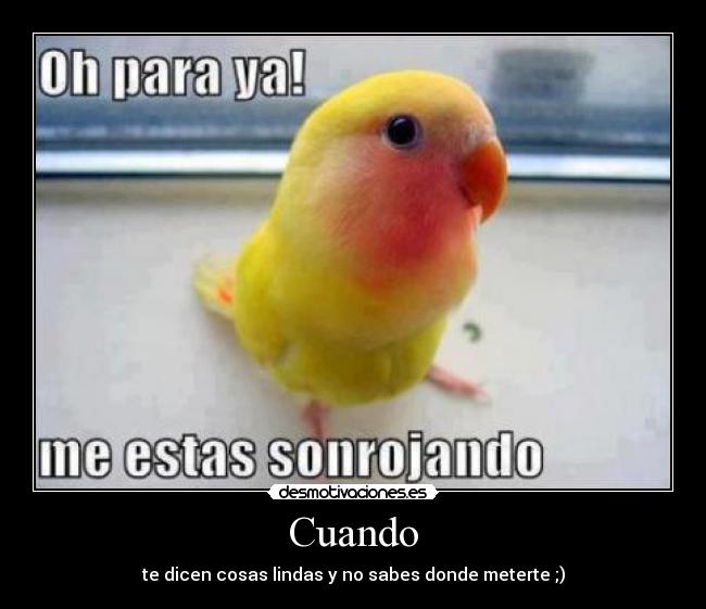 Cuando - te dicen cosas lindas y no sabes donde meterte ;)