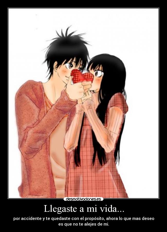 Llegaste a mi vida... - 