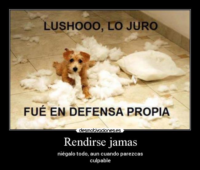 Rendirse jamas - niégalo todo, aun cuando parezcas
culpable