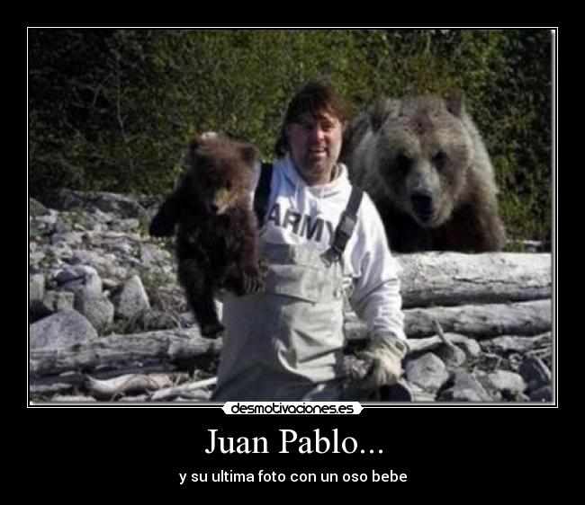 carteles oso desmotivaciones