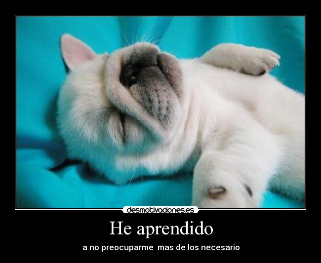 carteles aprendido desmotivaciones