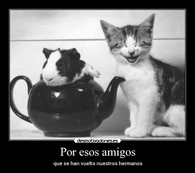 Por esos amigos -