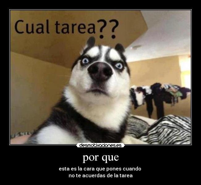 carteles jhon desmotivaciones