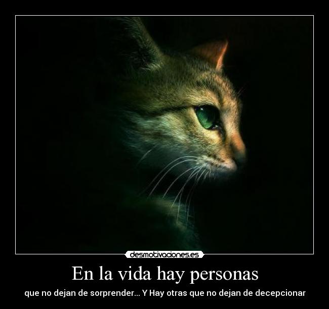 carteles vida hipocritas desmotivaciones