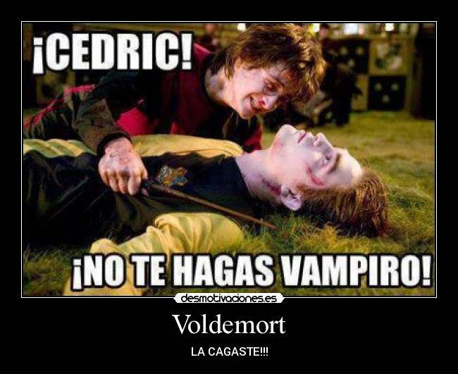 Voldemort - LA CAGASTE!!!