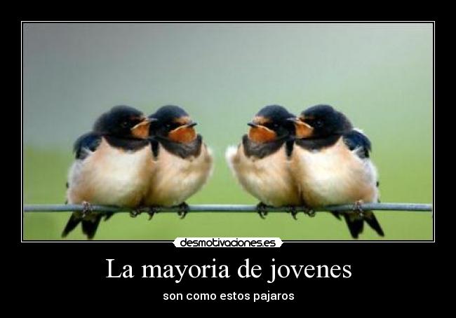 La mayoria de jovenes - son como estos pajaros