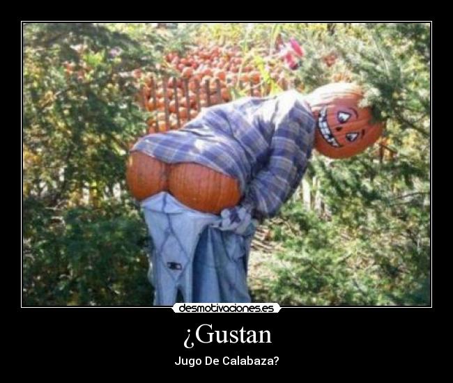 ¿Gustan - 