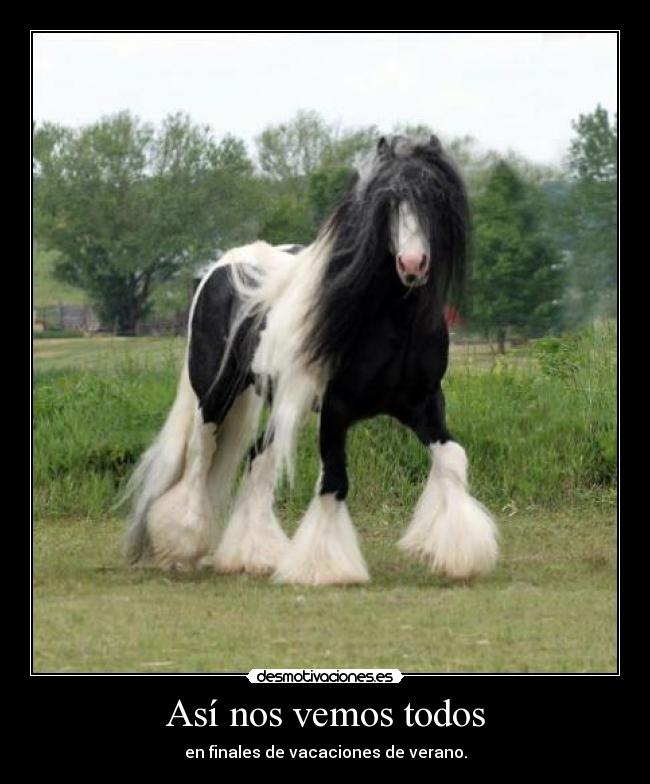 Así nos vemos todos -