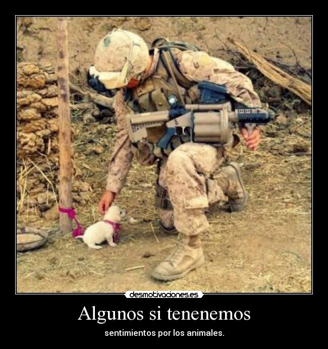 Algunos si tenenemos - sentimientos por los animales.