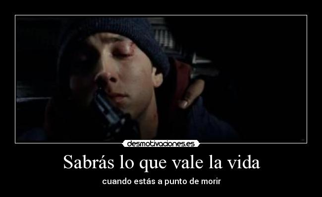 carteles vida eminem desmotivaciones