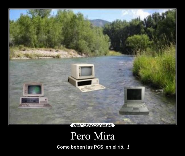 Pero Mira - Como beben las PCS en el rió....!