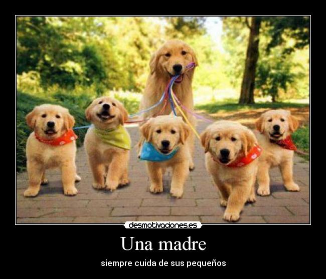 Una madre - 