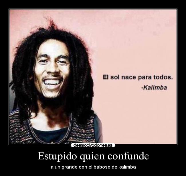 Estupido quien confunde -