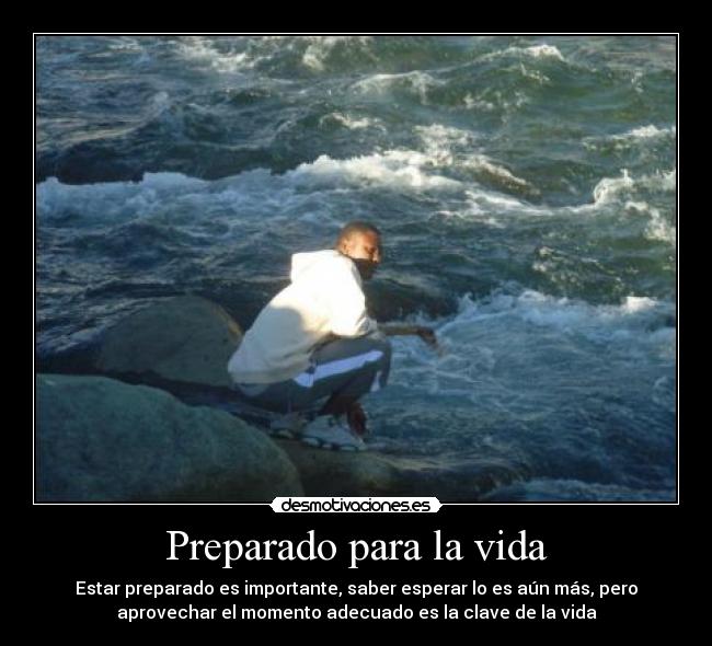 carteles vida howell desmotivaciones