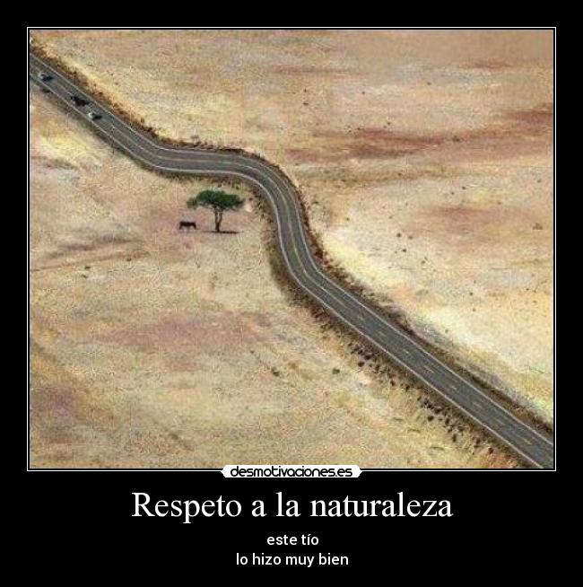 Respeto a la naturaleza - este tío
lo hizo muy bien