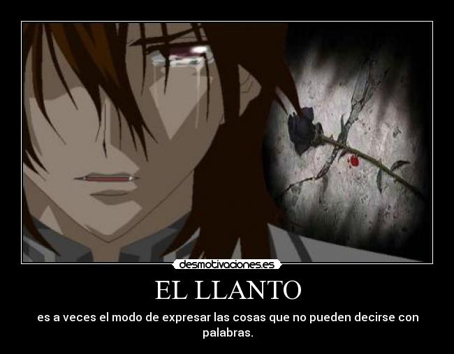 carteles llanto desmotivaciones