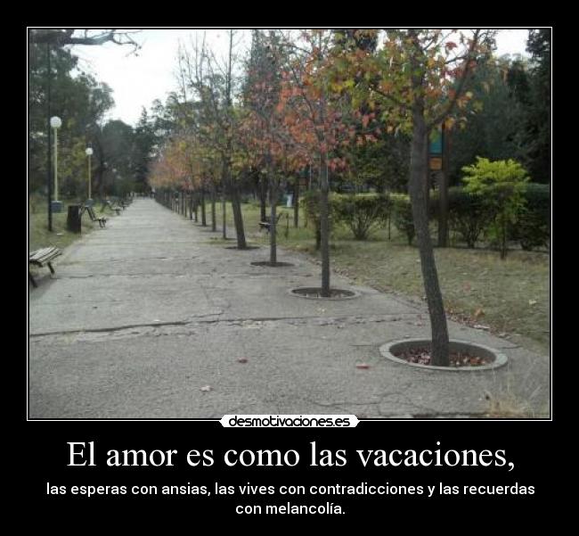 carteles amor concurso1 desmotivaciones