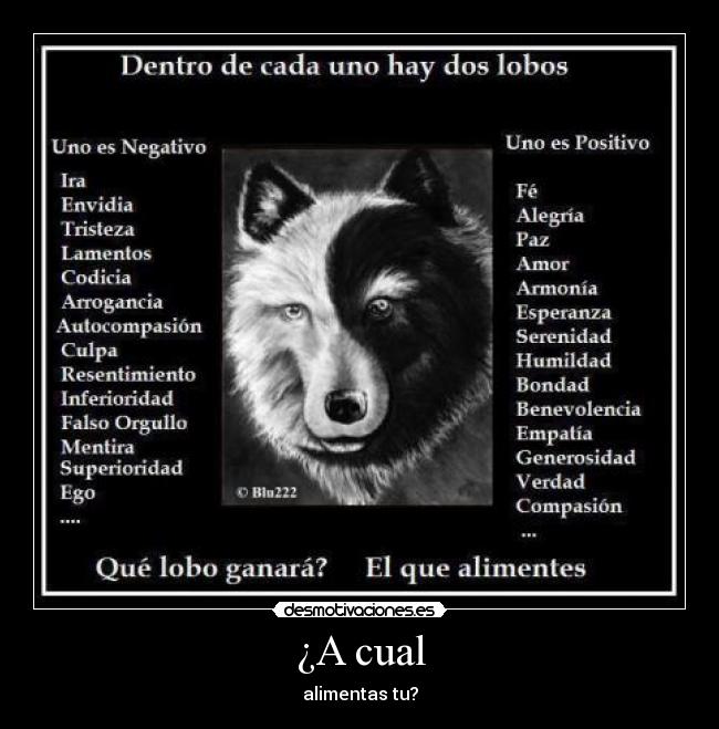 carteles lobo desmotivaciones